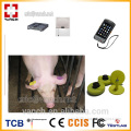 UHF RFID Antenna for swine tracking